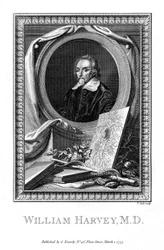 William Harvey, läkare, 1777.