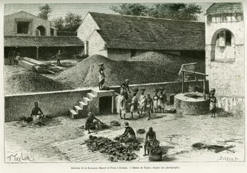 Inne i Maurel och Proms handelsstation i Boulam: sortering och bearbetning av jordnötter, palmkärnor och gummi. Gravyr av Taylor efter ett fotografi för att illustrera berättelsen Resa i Senegambia och Portugisiska Guinea, år 1888, av kapten A. Brosselard