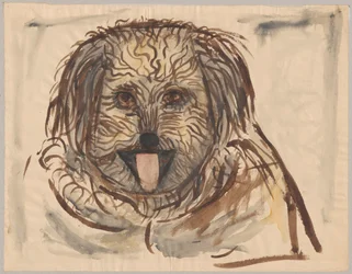 Huvud av en hund