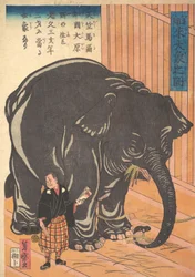 Vy över den stora importerade elefanten, 1863 Bunkyo 3, 4:e månaden.