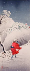 Snöig kväll på en bergsstig