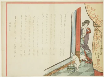 Kanin med rispudding