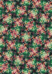 Tropisk palm
