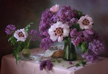 Vårens lila pionblommor