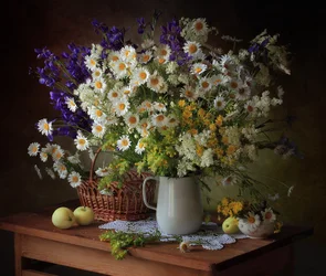 Stilleben med sommarvildblommor