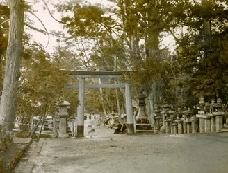 Ingång till Lantern Shrine i Kasauga Taisha Park, Nara, cirka 1900 - 1915 (fotografi)