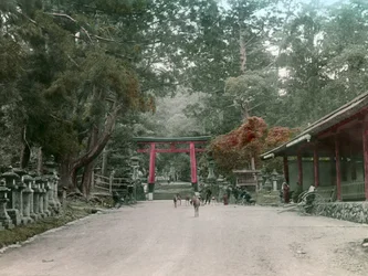 Ingång till Lantern Shrine i Kasauga Taisha Park, Nara, cirka 1900 - 1915 (fotografi)