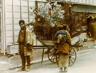 Ambulerande blomsterförsäljare på Tokyos gator, cirka 1900 - 1915 (fotografi)