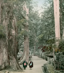 Okuno-In-kyrkogården på berget Koya i Yamamoto, cirka 1900 - 1915 (fotografi)