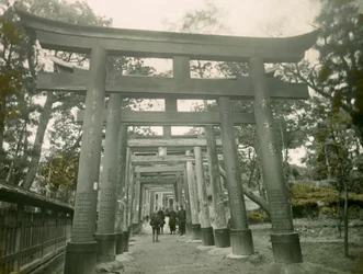 Torii i Inari-helgedomen i Kyoto, ca 1900 - 1915 (fotografi)