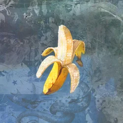 BANANAZ, 2015 (Collage på duk)