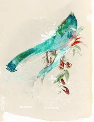 Bird Silhouette, 2017 (Collage på duk)