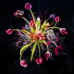 Bukett XVIII, 2017 (blandade media på duk)