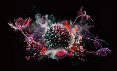 Bouquet X, 2016 (foto)