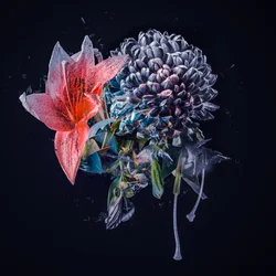 Liten bukett, 2018 (Collage på duk)
