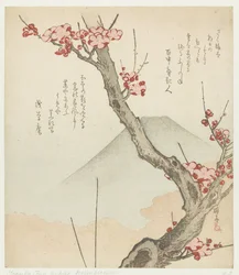 Mount Fuji och ett blommande plommon