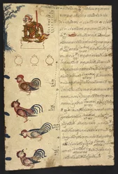 Or 4830 f.20, Tuppens år, ur en ”thailändsk spådomshandbok (Phrommachat), innehållande horoskop baserade på den kinesiska zodiaken”