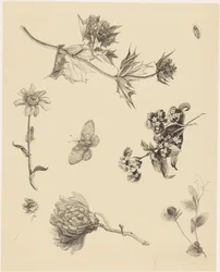 Blommor och blad