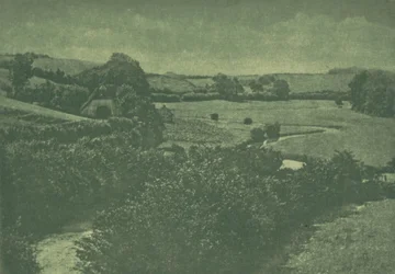 Kameraarbete: Meadow-brook, 1904.