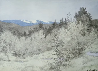 Långt långt borta i skogen