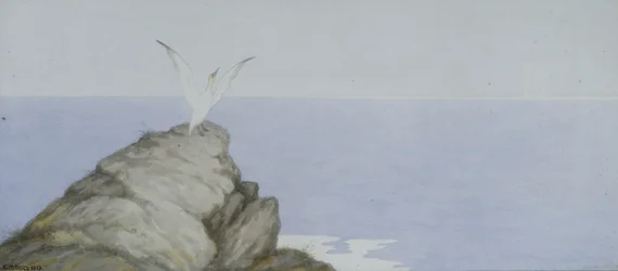 Seabird (akvarell på papper)