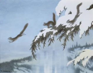 Ekorre under flygning