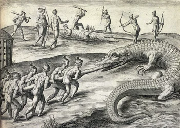 Nakna indianer jagar alligatorer i Florida, USA