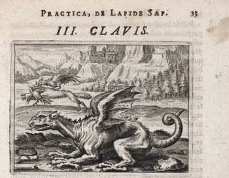 En drake, i bakgrunden, en hönsstjäl varg, attackerad av en tupp - Gravyr av Theodore de Bry (1528-1598), för alkemiavhandlingen ""Tripus avreus, hoc est, Tres tractatus chymici selectissimi" " av Michael Maier (1569-1622)