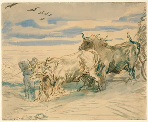Förare med Oxen Pulling a Cart