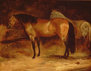 En Bay Horse vid en krubba, med en grå häst i en matta