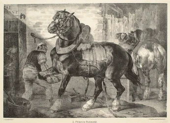 En fransk hovslagare