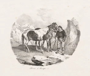Hästar i Auvergne