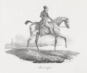 Engelsk häst (An English Horse)