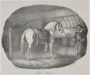 Cheval dHanovre.