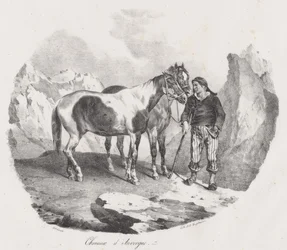 Hästar från Auvergne (Auvergne Horses)