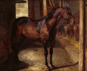 Dark Bay Horse i stallet