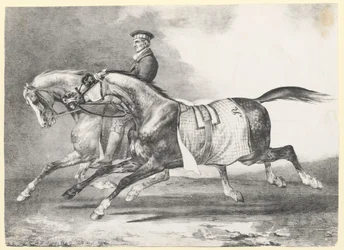 Två gråspräckliga hästar som rastas (Two Dapple-Grays Being Exercised)