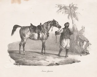 Egyptisk sto, 1822.