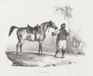 Egyptisk sto (An Egyptian Mare)