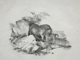 Stoet och hennes föl.