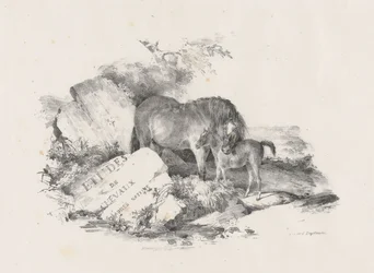 Ston och hennes föl, frontispis (The Mare and Its Colt, Frontispiece)
