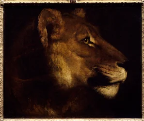 Lejoninna huvudmålning av Theodore Gericault (1791-1824) 1800-talets sön. 0,55x0,65 m Paris, Louvren. - Chef för lejoninnan. Målning av Theodore Gericault (1791-1824)