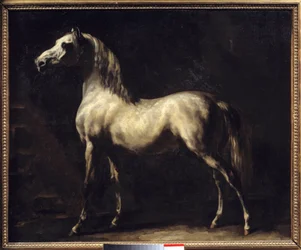 Studie av en hästmålning av Theodore Gericault