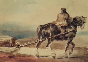 The Barge Horse (blyerts  akvarell på papper)