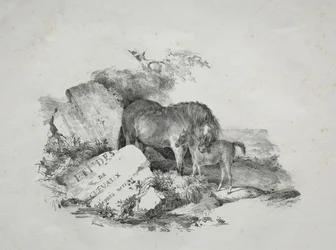 Stoet och hennes föl