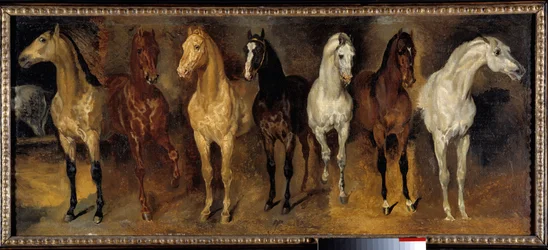Brösten Sju hästar framifrån. Målning av Theodore Gericault (1791-1824) 1800-talet sön. 0,39x0,94 m Privat samling - Sju hästkistor (framifrån). Målning av Theodore Gericault (1791-1824)