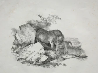 Stoet och hennes föl