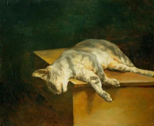 Död katt