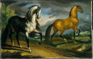 Two Horses