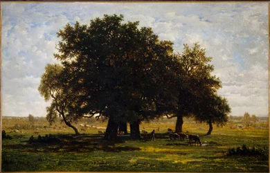 Grupp av Chenes, Apremont. Målning av Theodore Rousseau (1812-1867)